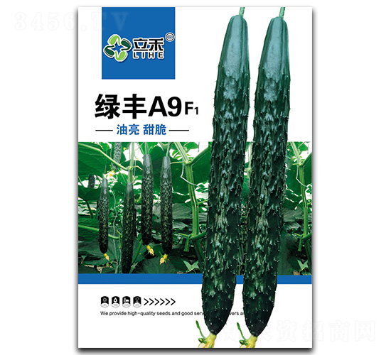 �G�SA9-�S�ϷN��-�}�ʷN�I