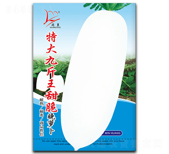 �ش�Ž���������}��-�}���N��-�}�ʷN�I