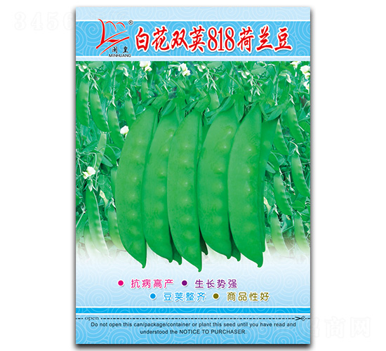 白花雙莢818-荷蘭豆種子-閩皇種業