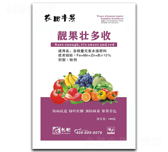 �n���Ѷ���-�r���S��-��ʩ��