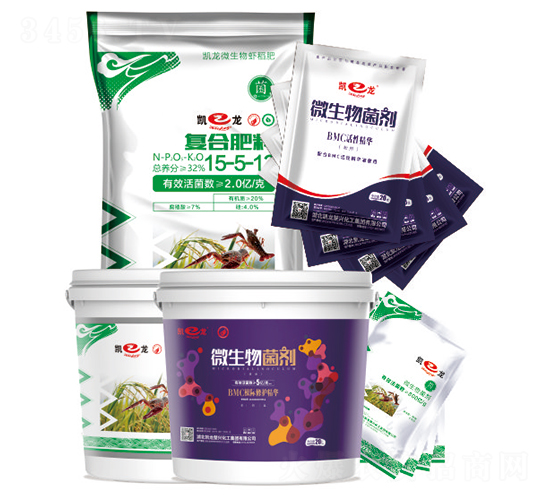 �r���ײ�-�P��-�P�����d