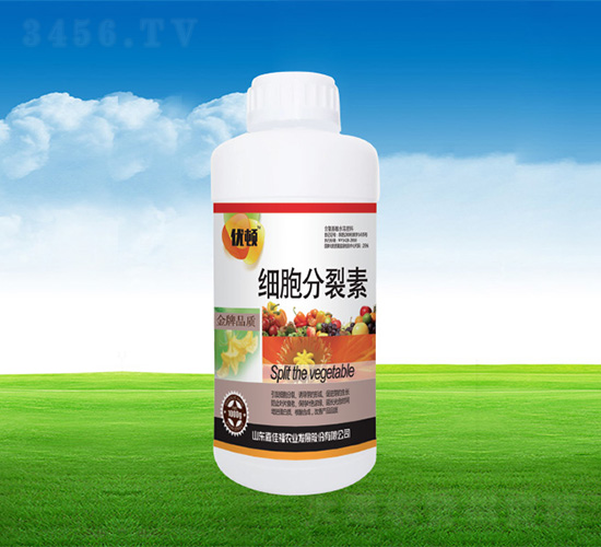 ��(x��)��������-�μѸ�