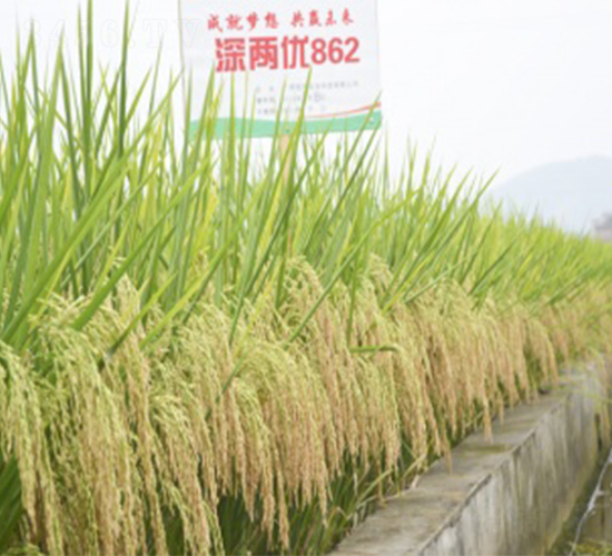 ��Ƀ�862-ˮ���N��-����N�I