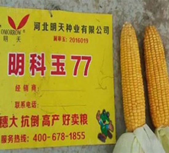 ������77-���׷N��-����N�I