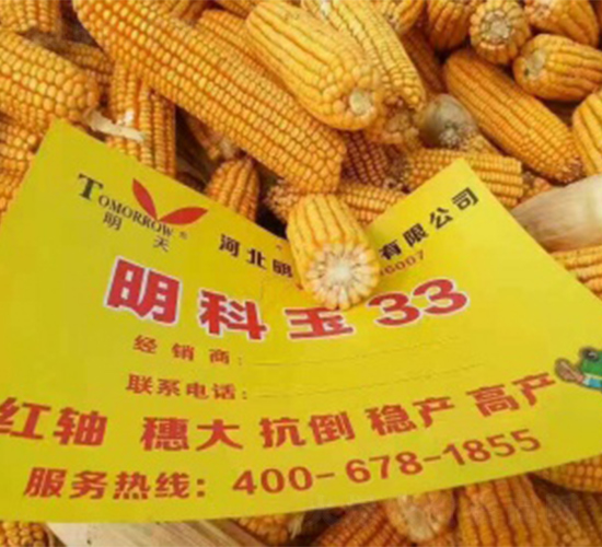 ������33-���׷N��-����N�I(y��)