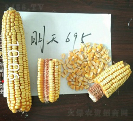 ����695-���׷N��-����N�I