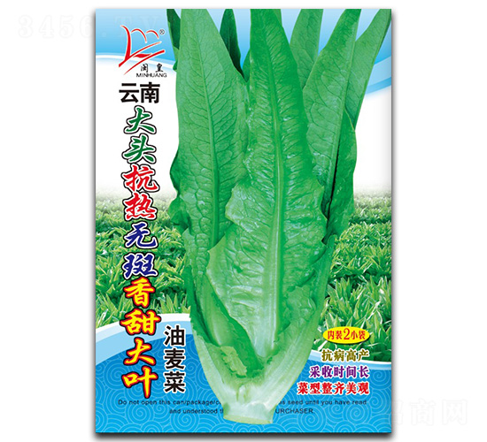 ������~-�����˷N��-�}�ʷN�I