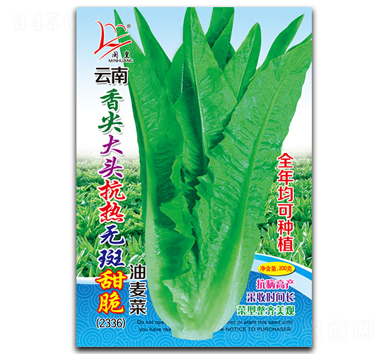 �����^����o�����������-�����˷N��-�}�ʷN�I(y��)