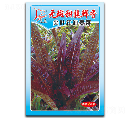 ���~�t������-�����˷N��-�}�ʷN�I