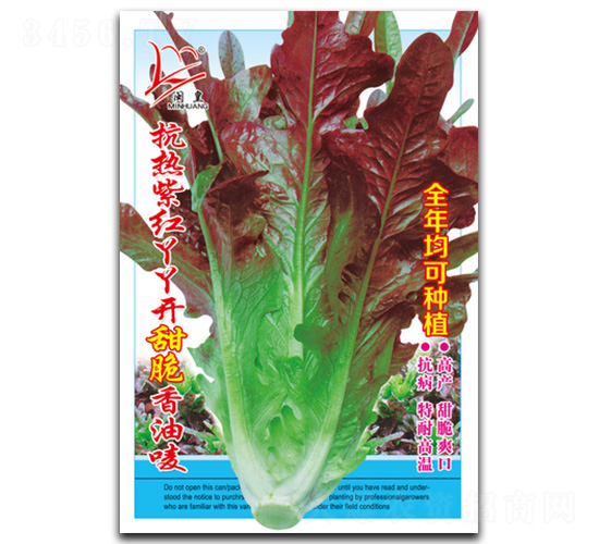 �����ϼtѾѾ�_������͇O-�����˷N��-�}�ʷN�I