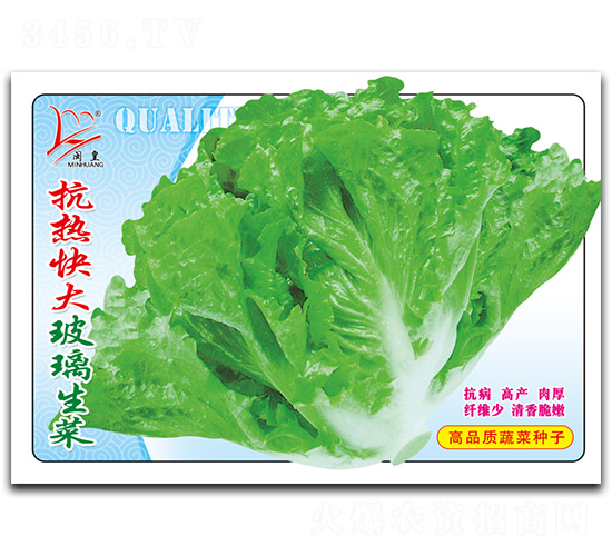 ������������-���˷N��-�}�ʷN�I