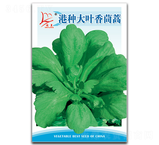 �۷N���~������-����N��-�}�ʷN�I