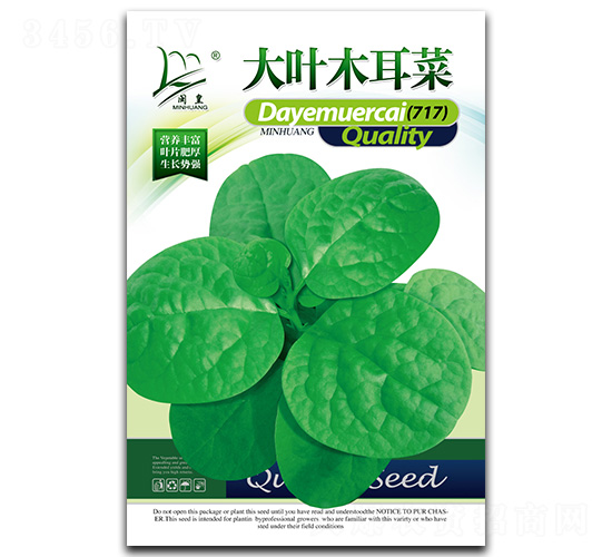 ���~ľ���ˣ�717��-ľ���˷N��-�}�ʷN�I