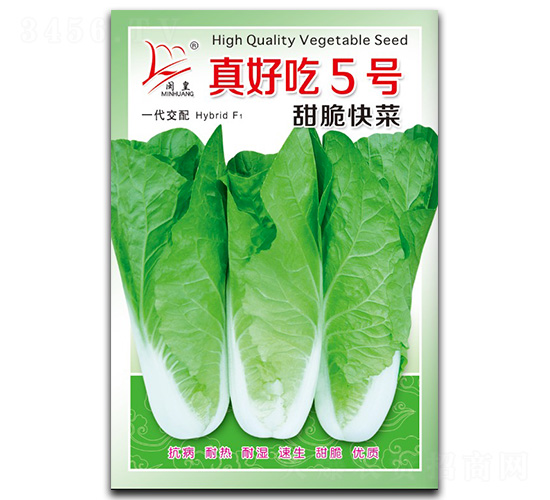 真好吃5號-快菜種子-閩皇種業