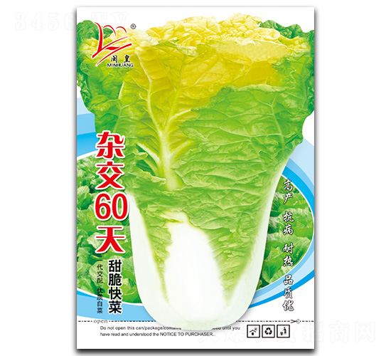 雜交60天-快菜種子-閩皇種業