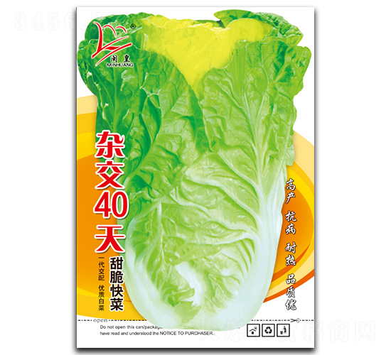 雜交40天-快菜種子-閩皇種業