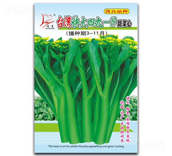 臺灣快大四九一19甜菜心-菜心種子-閩皇種業(yè)