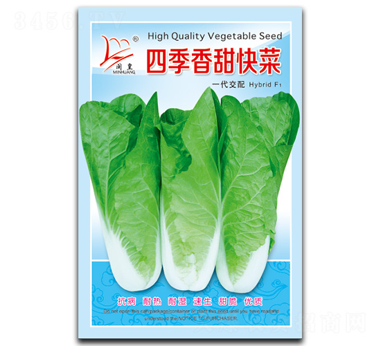四季香甜快菜-快菜種子-閩皇種業