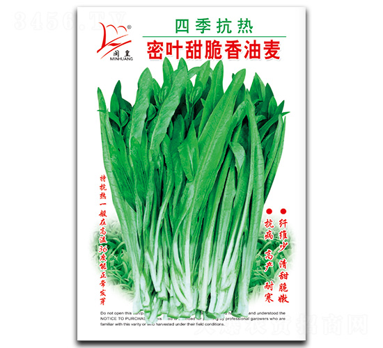 密葉甜脆香油麥-油麥菜種子-閩皇種業