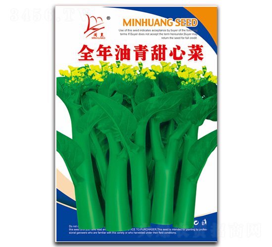 全年油青甜心菜-甜心菜種子-閩皇種業
