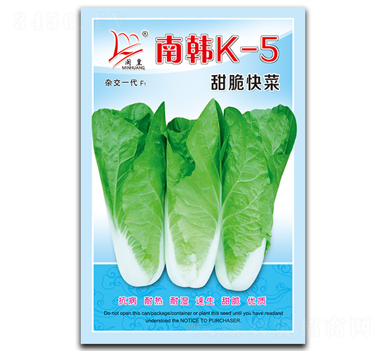 南韓K-5甜脆快菜-快菜種子-閩皇種業