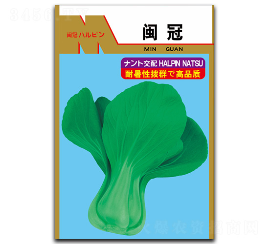 閩冠-青菜種子-閩皇種業