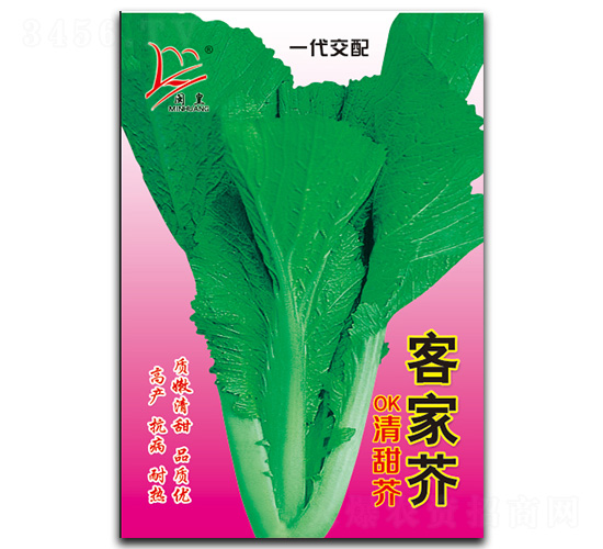 �ͼҽ������-��˷N��-�}�ʷN�I