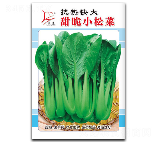 抗熱快大甜脆小松菜-松菜種子-閩皇種業(yè)