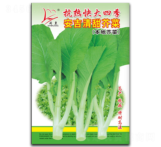 安吉清甜芥菜-芥菜種子-閩皇種業
