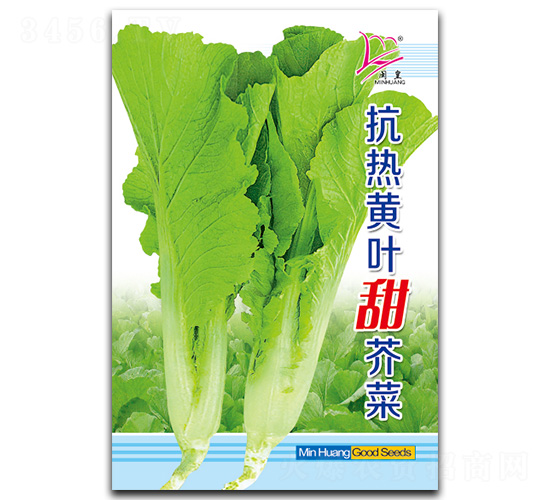 抗熱黃葉甜芥菜-芥菜種子-閩皇種業