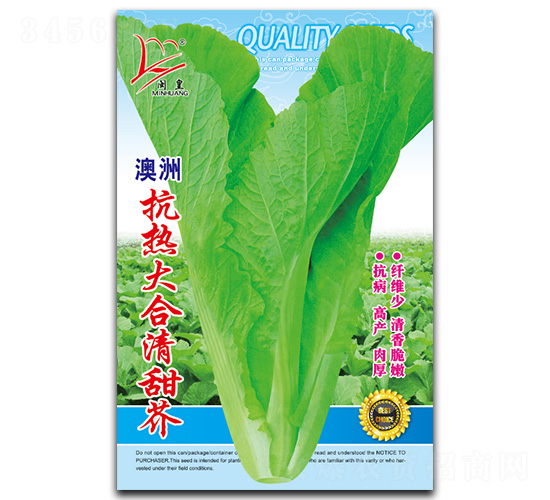 抗熱大合清甜芥-芥菜種子-閩皇種業