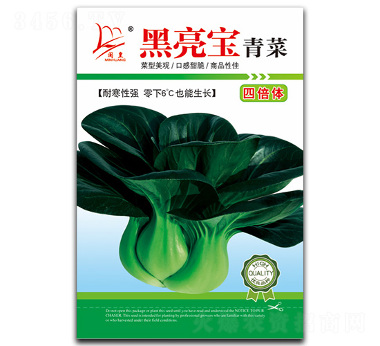 黑亮寶-青菜種子-閩皇種業(yè)