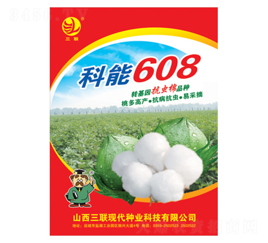 ����608-�޻��N��-��