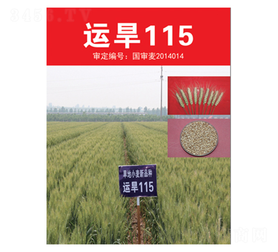 �\��115-С���N��-��