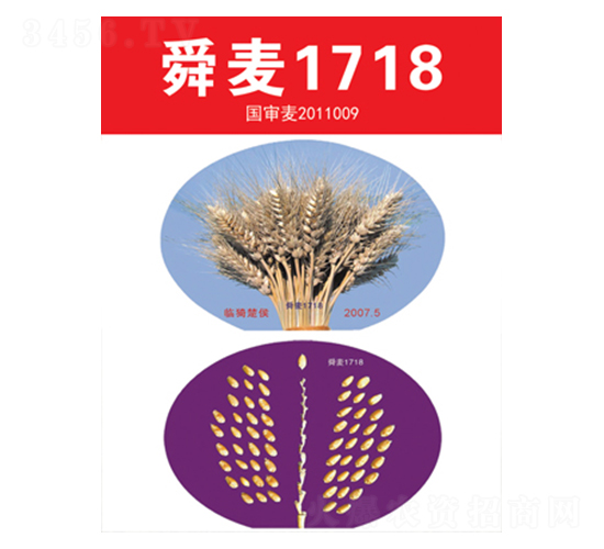 ˴��1718-С���N��-��