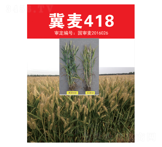 ����418-С���N��-��