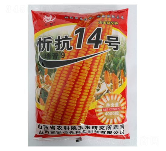 �ÿ�14̖-���׷N��-��