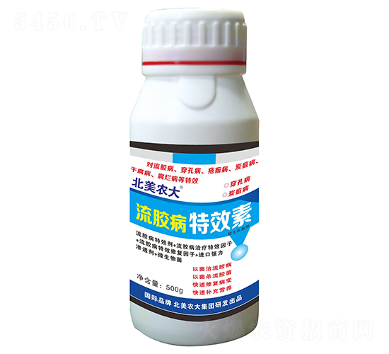 ���z����Ч��-�����r��