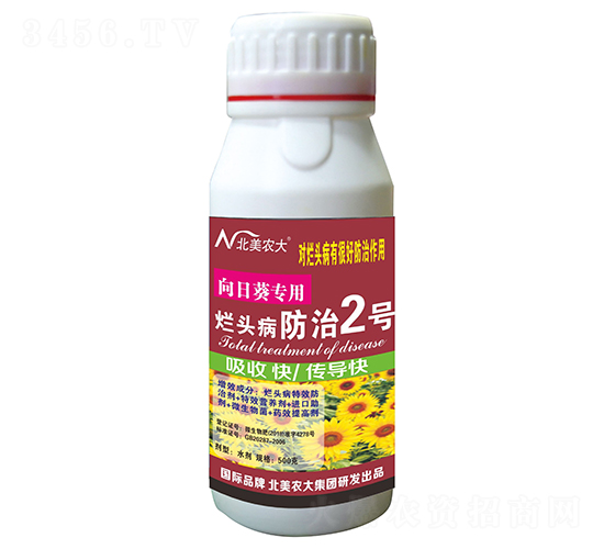 ���տ����à��^������2̖-�����r��