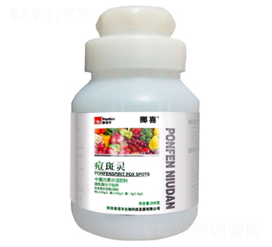 ľ�|�Ǵ����w�}-�����`-���Z�S