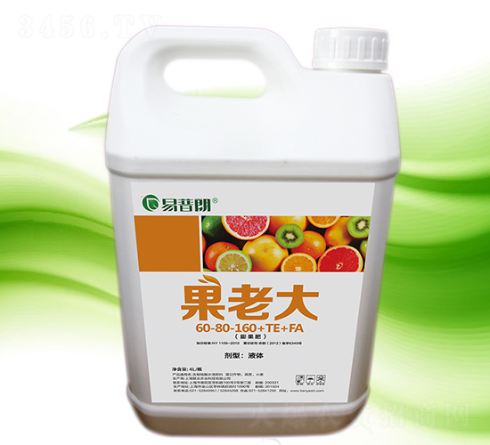 4L���ϴ�-������-�Ϻ��I