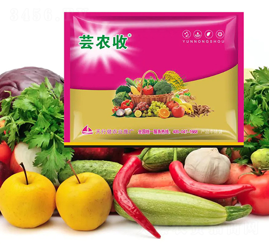 �|�r��-СħŮ-���н�