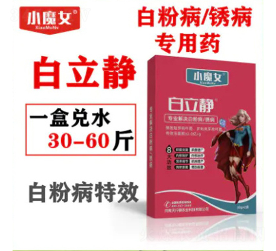 �׷۲����P������ˎ-�����o-СħŮ-���н�