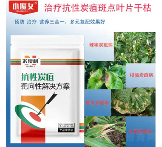 ����̿�Ұ����Խ�Q����-�r����-���н�