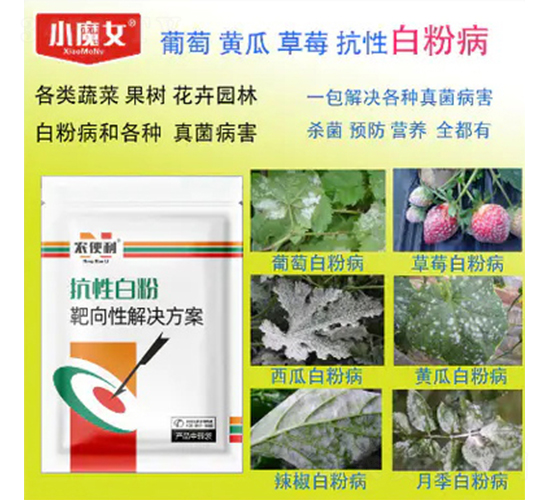 ���԰а߰����Խ�Q����-�r����-���н�