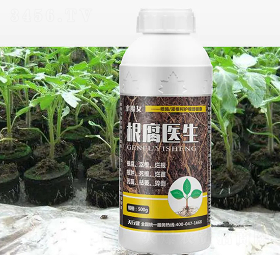 �����t��-СħŮ-���н�