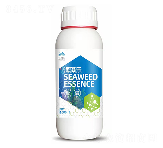 ���嘷-�֠���