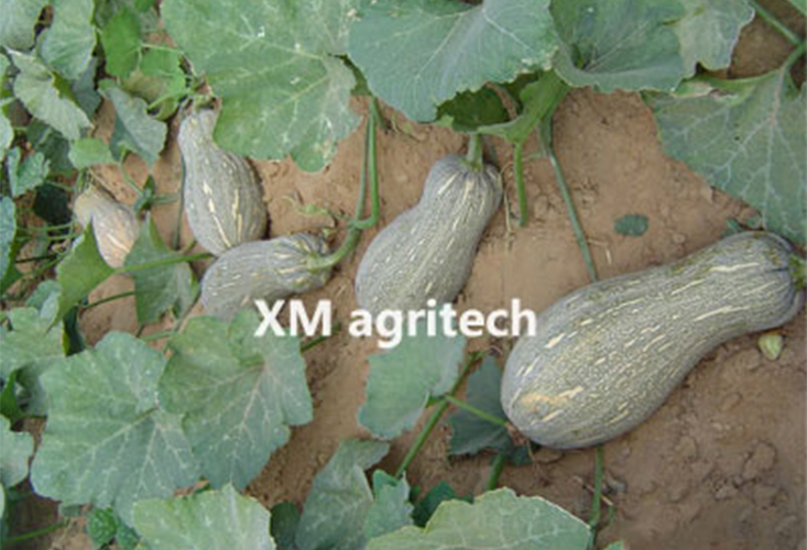 �۱�-�ϹϷN��-���r�r�I