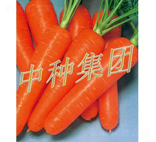 ����-���}���N��-�зN���F