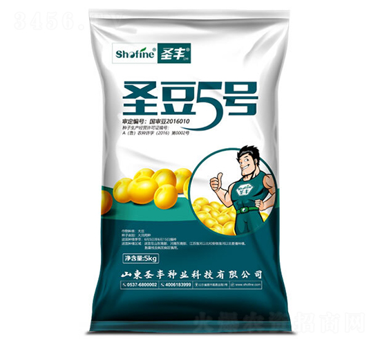 圣豆5-大豆種子-圣豐種業